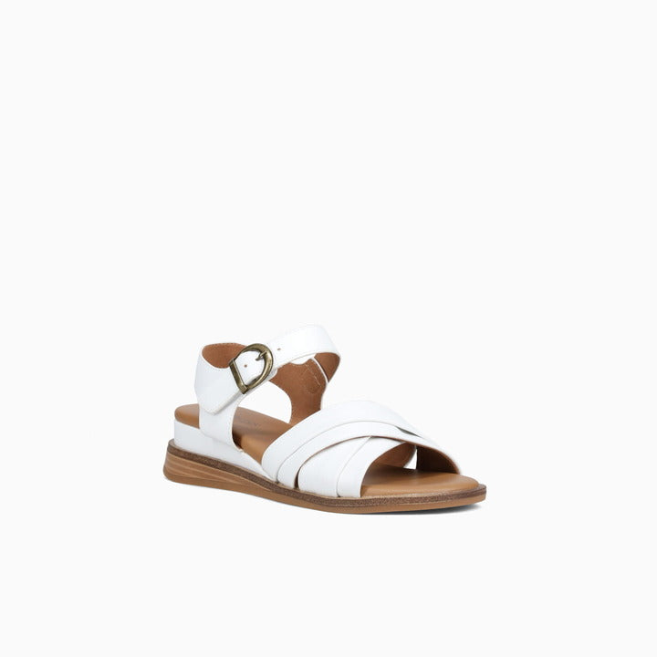CERIE-WHITE