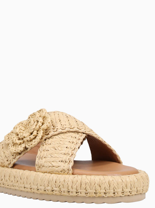 Tulipan Beige Fab Beige / 5 / M