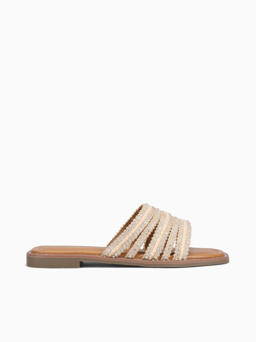 Parla Beige Txt
