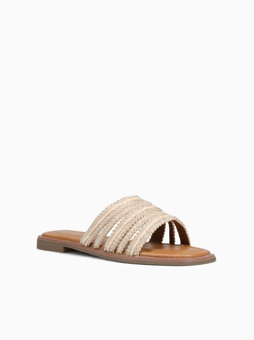 Parla Beige Txt