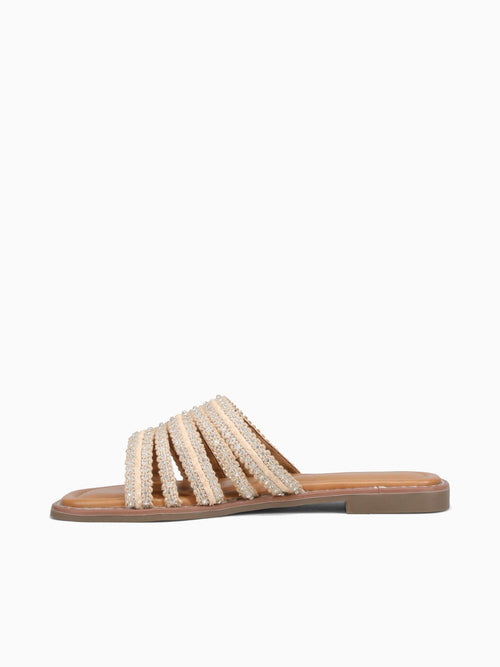 Parla Beige Txt