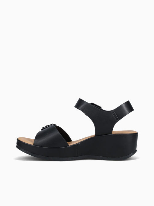 Blossom Black Smooth