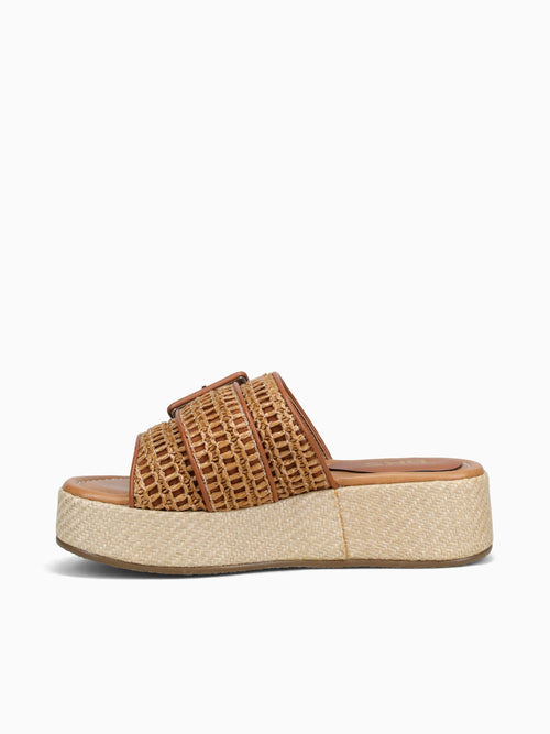 Miranda Brown Brown Smooth Txt Brown / 5 / M