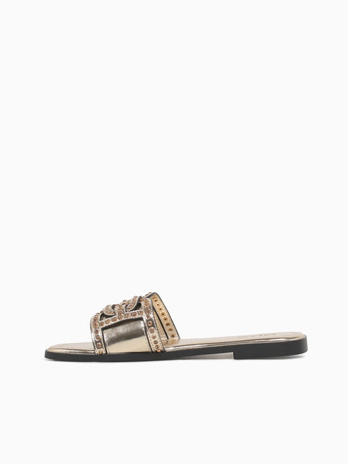Stella Gold Smooth Gold / 5 / M