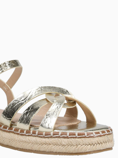 Gina Gold Metallic Gold / 5 / M