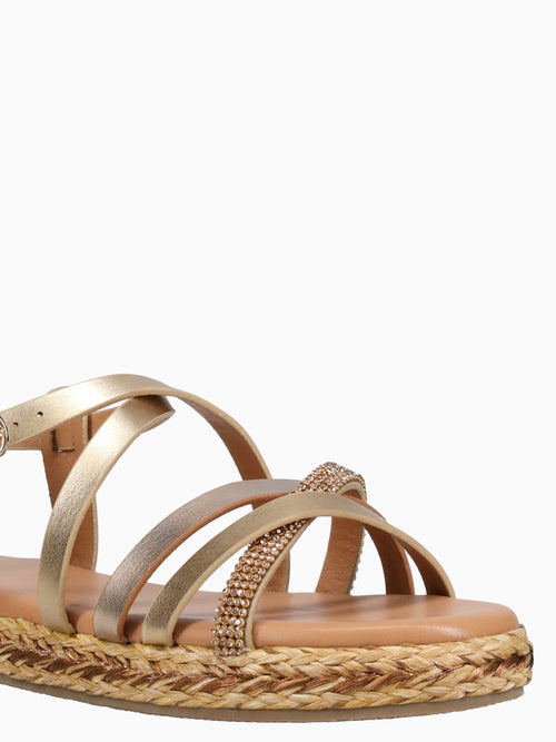 Cassy Multi Metallic Multi / 5 / M