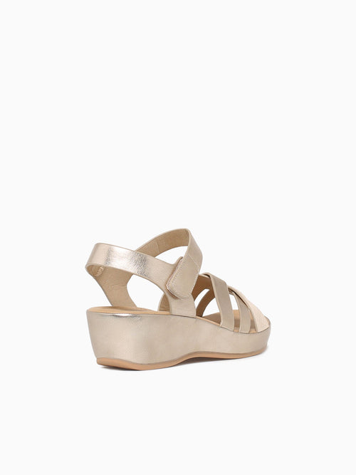 Liora Gold Metallic Gold / 5 / M