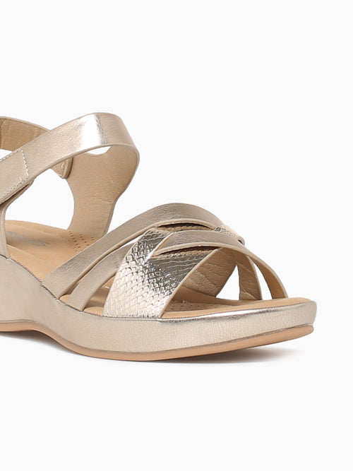 Liora Gold Metallic Gold / 5 / M