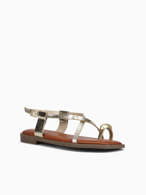 Dallia Gold Metallic Gold / 5 / M