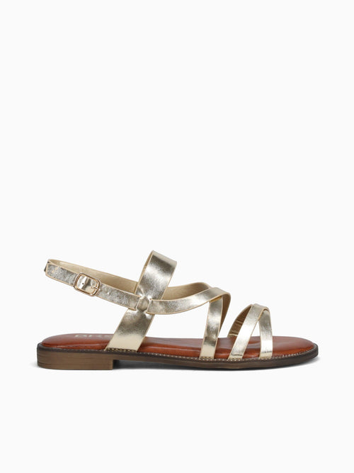 Sensi Gold Metallic
