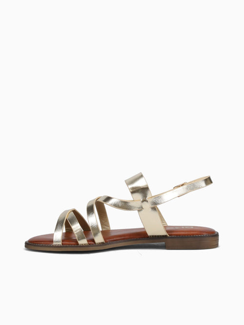 Sensi Gold Metallic