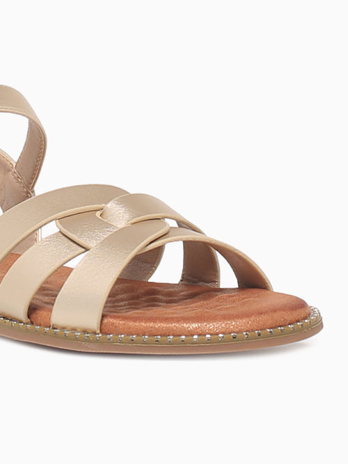 Namia Gold Metallic Gold / 5 / M