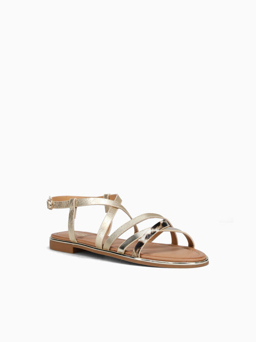 Pina Gold Leopard Smooth Gold / 5 / M