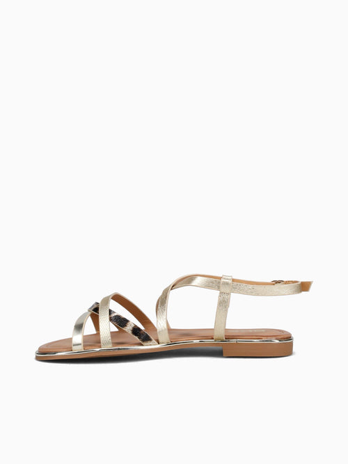 Pina Gold Leopard Smooth Gold / 5 / M