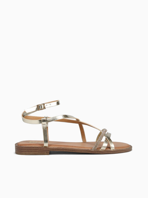 Reena Gold Metallic Smooth Gold / 5 / M