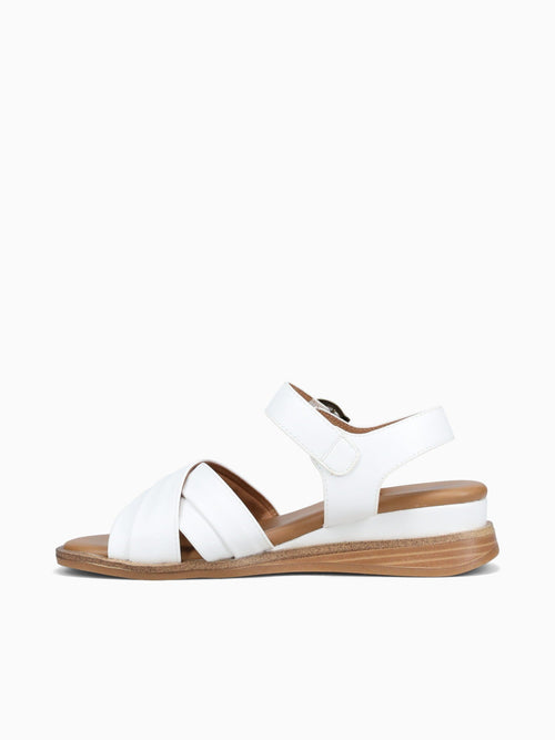 Cerie White Smooth White / 5 / M