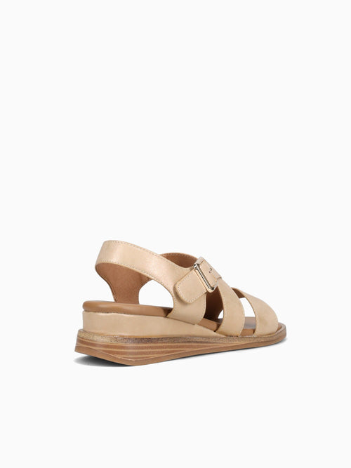 Abby Gold Metallic Gold / 5 / M