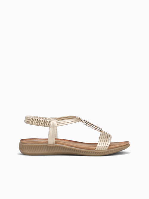 Willow Gold Smooth Gold / 5 / M