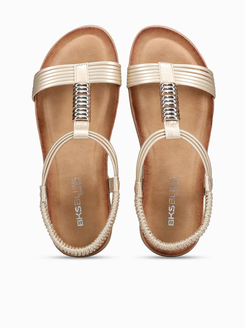Willow Gold Smooth Gold / 5 / M