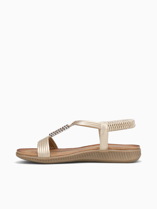 Willow Gold Smooth Gold / 5 / M