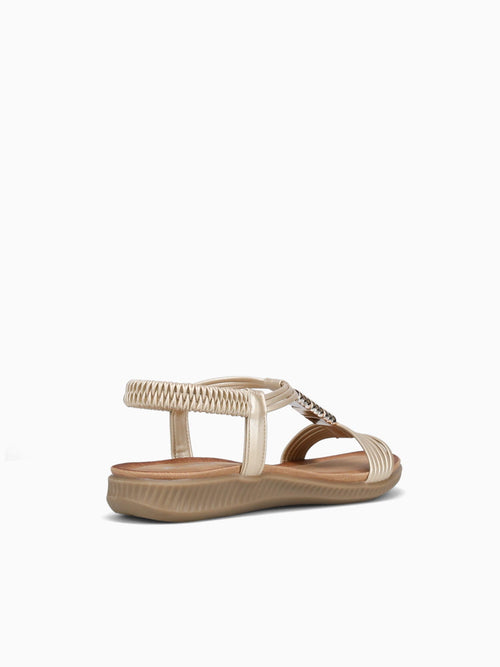 Willow Gold Smooth Gold / 5 / M