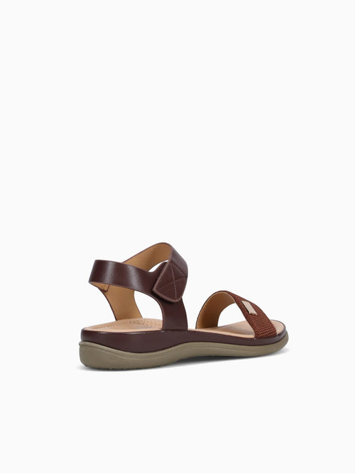 Dimas Dark Brown Dark Brown / 5 / M