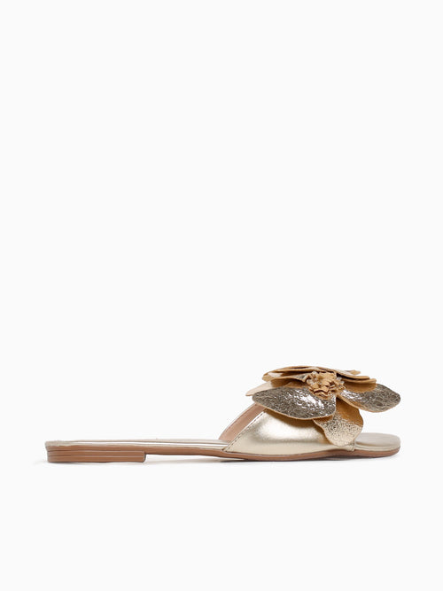 Amapola Ouro Met Gold / 5 / M