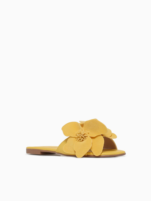 Amapola Amanhecer Suede Yellow / 5 / M