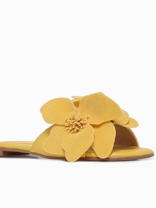 Amapola Amanhecer Suede Yellow / 5 / M