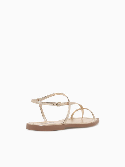 Lucila Gold Metallic Gold / 5 / M