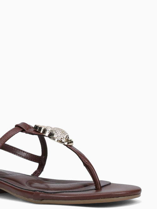 Shelly Brown Smooth Brown / 5 / M