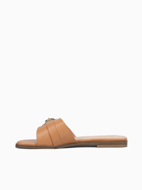 Gioia Brown Smooth Brown / 5 / M