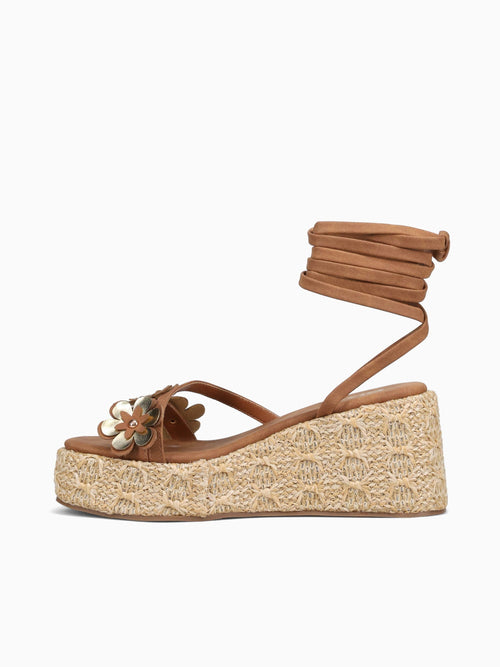 Orchid Dark Camel Suede Dark Brown / 5 / M