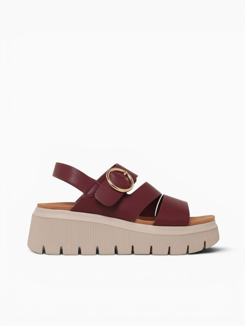 Joni Burgundy Smooth Wine / 5 / M