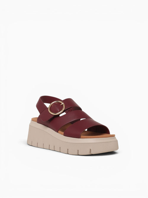Joni Burgundy Smooth Wine / 5 / M
