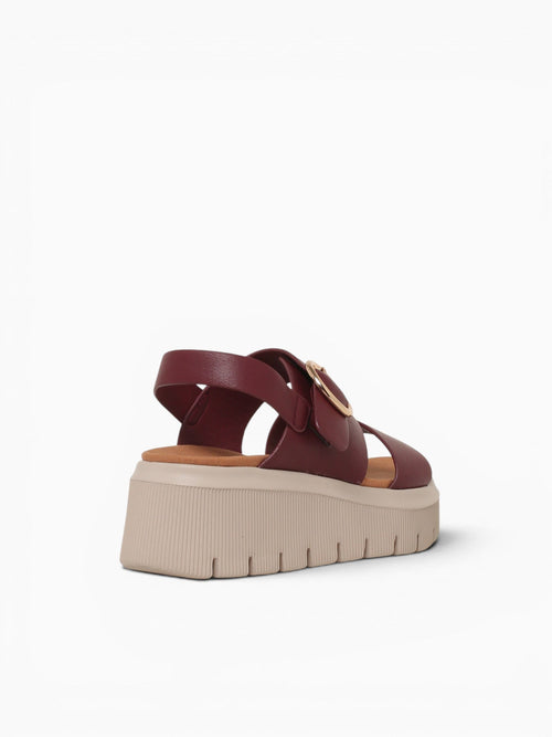 Joni Burgundy Smooth Wine / 5 / M