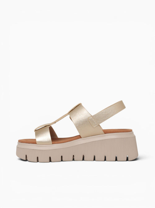 Tracy Gold Metallic Gold / 5 / M