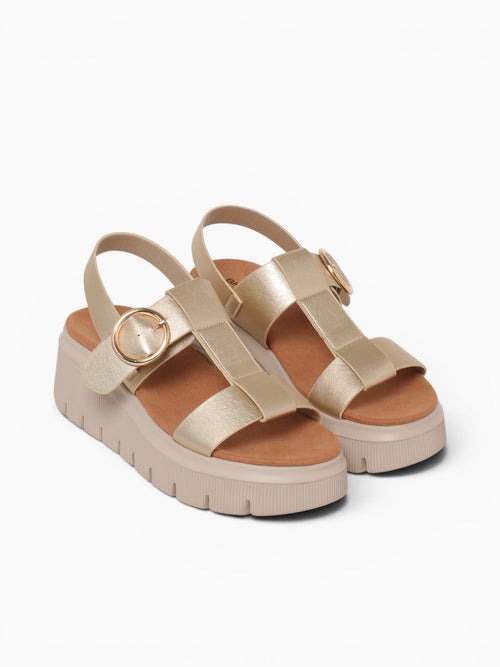Tracy Gold Metallic Gold / 5 / M