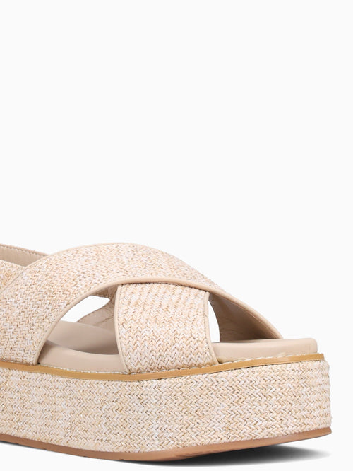 Rafael Gold Metallic Gold / 5 / M