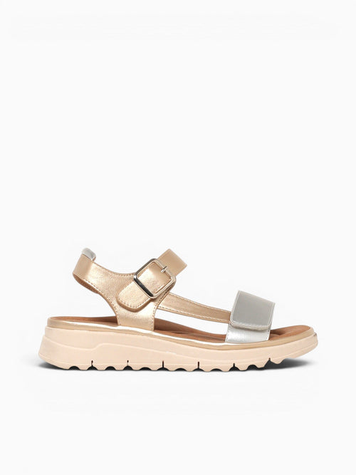 Hazel Gold Metallic Gold / 5 / M