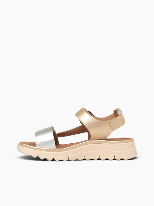Hazel Gold Metallic Gold / 5 / M