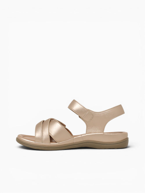 Diana Gold Metallic Gold / 5 / M