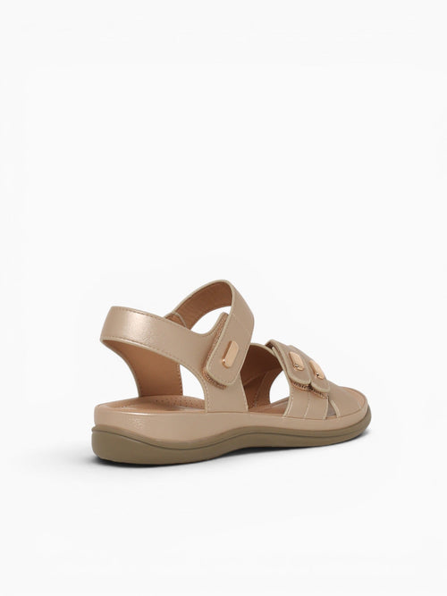 Diana Gold Metallic Gold / 5 / M