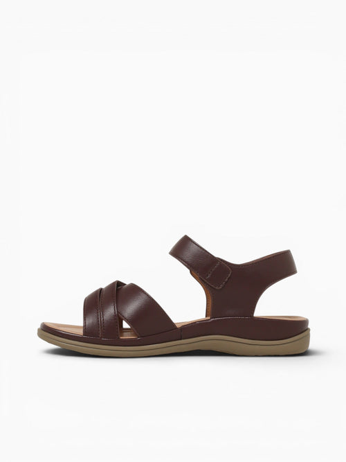 Diana Brown Smooth Brown / 5 / M