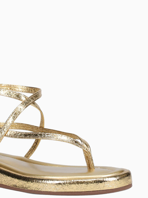 Sundara Ouro Metallic Gold / 5 / M