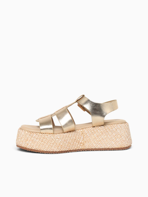 Lona Gold Metallic Gold / 5 / M