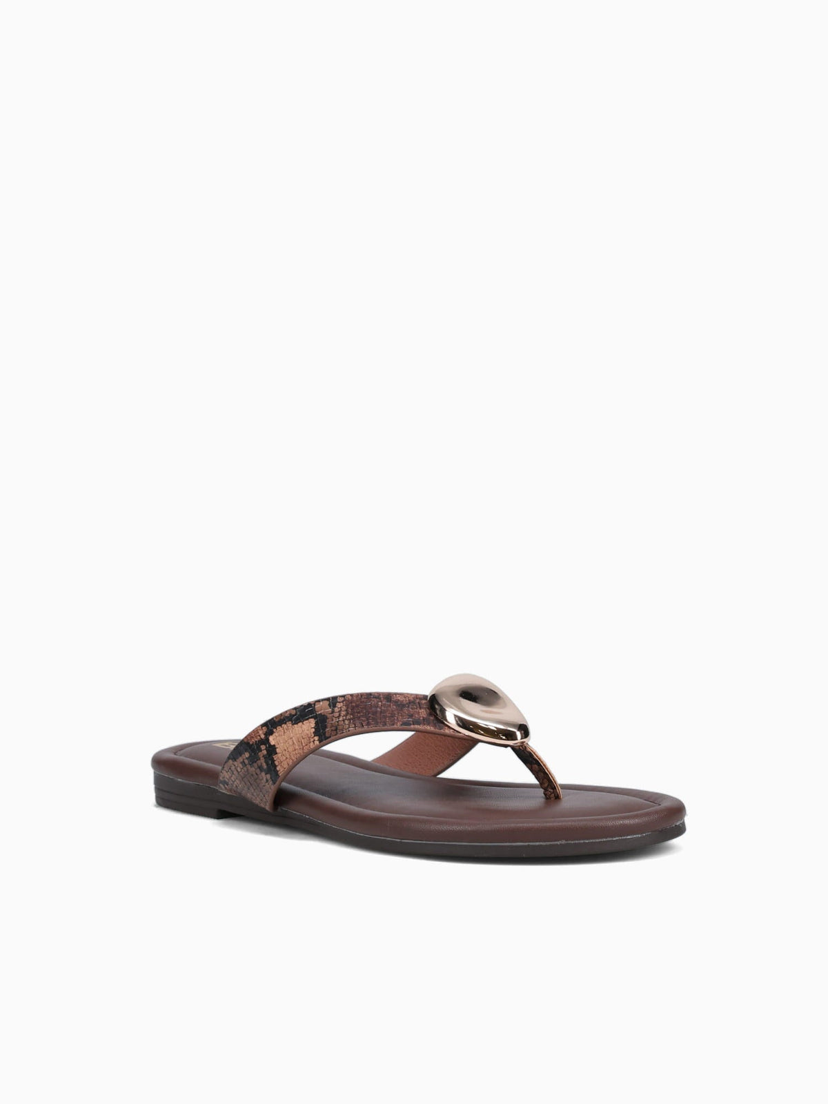 Aylin Brown Snake Brown / 5 / M