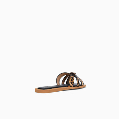 RIVA-BROWN MULTI