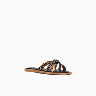 RIVA-BROWN MULTI