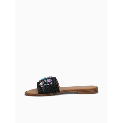 JANDY-BLACK